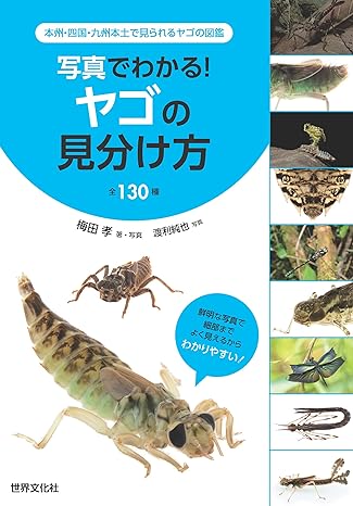 写真でわかる！　ヤゴの見分け方　全１３０種