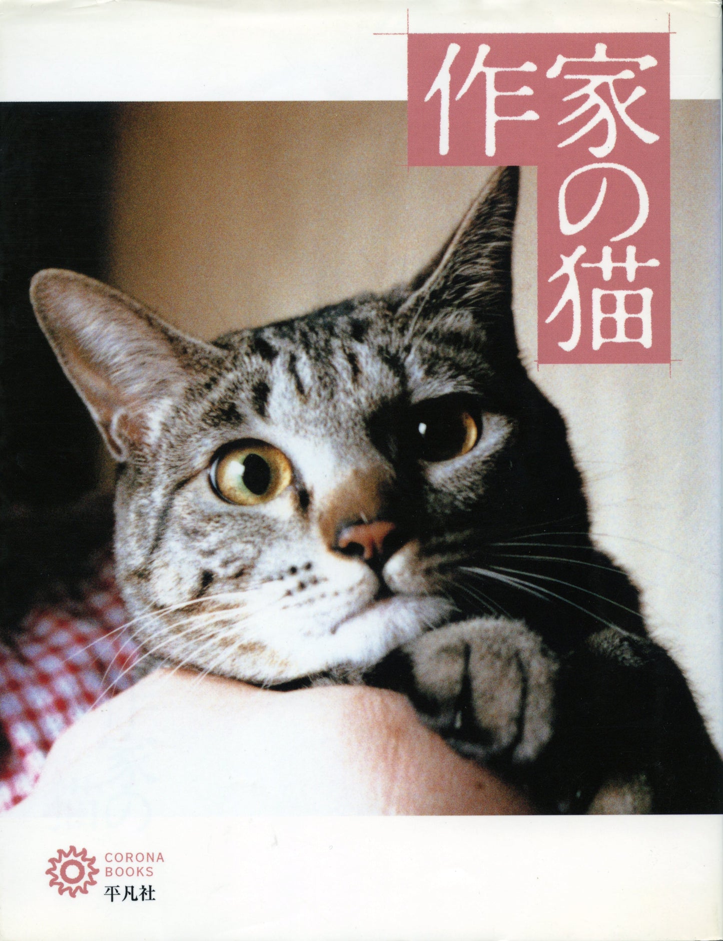 ⑧作家の猫